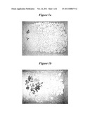 METHOD FOR SEPARATING MINERAL IMPURITIES FROM CALCIUM CARBONATE-CONTAINING     ROCKS BY X-RAY SORTING diagram and image