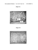 METHOD FOR SEPARATING MINERAL IMPURITIES FROM CALCIUM CARBONATE-CONTAINING     ROCKS BY X-RAY SORTING diagram and image