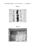 METHOD FOR SEPARATING MINERAL IMPURITIES FROM CALCIUM CARBONATE-CONTAINING     ROCKS BY X-RAY SORTING diagram and image