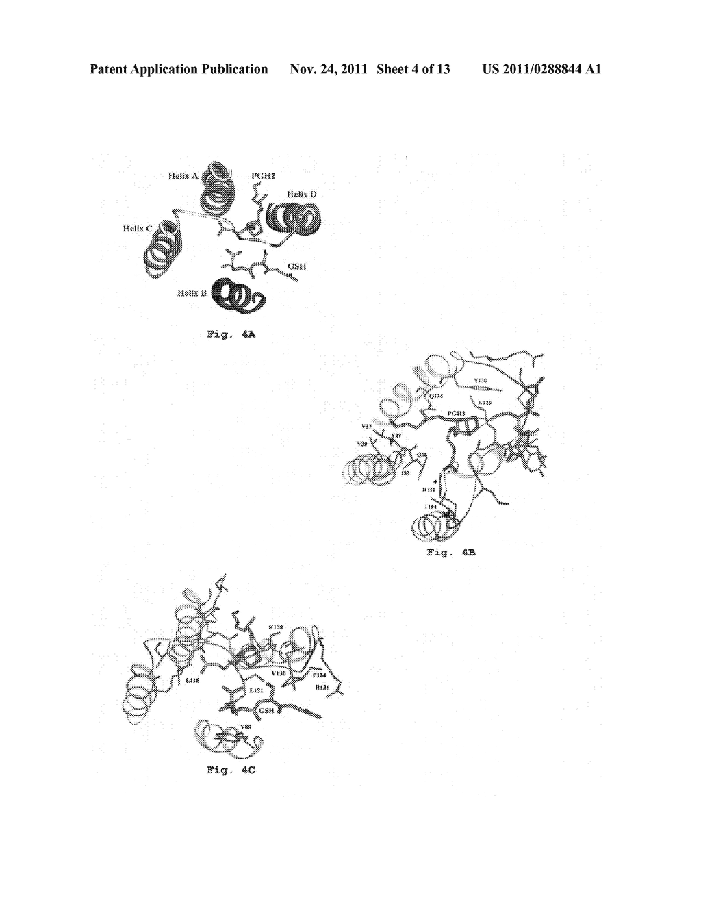 Modeling of mPGES-1 three-dimensional structures: applications in drug     design and discovery - diagram, schematic, and image 05