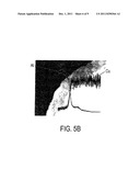 SEAMLESS COMPOSITE METAL TUBE AND METHOD OF MANUFACTURING THE SAME diagram and image