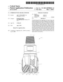 Hybrid Bit with Variable Exposure diagram and image