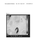 MONOLITHIC ORGANIC POROUS BODY, MONOLITHIC ORGANIC POROUS ION EXCHANGER,     AND PROCESS FOR PRODUCING THE MONOLITHIC ORGANIC POROUS BODY AND THE     MONOLITHIC ORGANIC POROUS ION EXCHANGER diagram and image