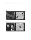 MONOLITHIC ORGANIC POROUS BODY, MONOLITHIC ORGANIC POROUS ION EXCHANGER,     AND PROCESS FOR PRODUCING THE MONOLITHIC ORGANIC POROUS BODY AND THE     MONOLITHIC ORGANIC POROUS ION EXCHANGER diagram and image