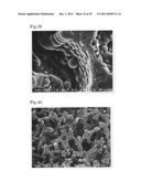 MONOLITHIC ORGANIC POROUS BODY, MONOLITHIC ORGANIC POROUS ION EXCHANGER,     AND PROCESS FOR PRODUCING THE MONOLITHIC ORGANIC POROUS BODY AND THE     MONOLITHIC ORGANIC POROUS ION EXCHANGER diagram and image