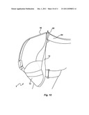 Device and Method for Carrying and Stabilizing a Helmet diagram and image