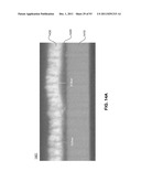 METHODS FOR ARRANGING NANOSCOPIC ELEMENTS WITHIN NETWORKS, FABRICS, AND     FILMS diagram and image