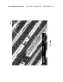 METHODS FOR ARRANGING NANOSCOPIC ELEMENTS WITHIN NETWORKS, FABRICS, AND     FILMS diagram and image