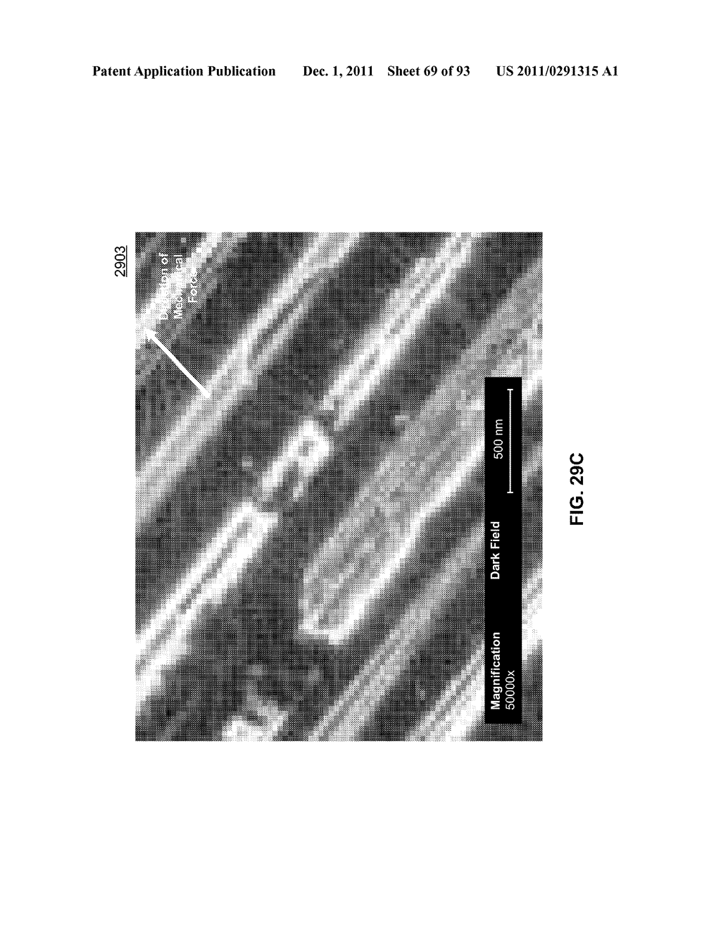 METHODS FOR ARRANGING NANOSCOPIC ELEMENTS WITHIN NETWORKS, FABRICS, AND     FILMS - diagram, schematic, and image 70