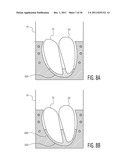 ANATOMICALLY AND FUNCTIONALLY ACCURATE SOFT TISSUE PHANTOMS AND METHOD FOR     GENERATING SAME diagram and image