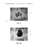 ANATOMICALLY AND FUNCTIONALLY ACCURATE SOFT TISSUE PHANTOMS AND METHOD FOR     GENERATING SAME diagram and image