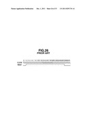 CLOCK SUPPLY APPARATUS diagram and image