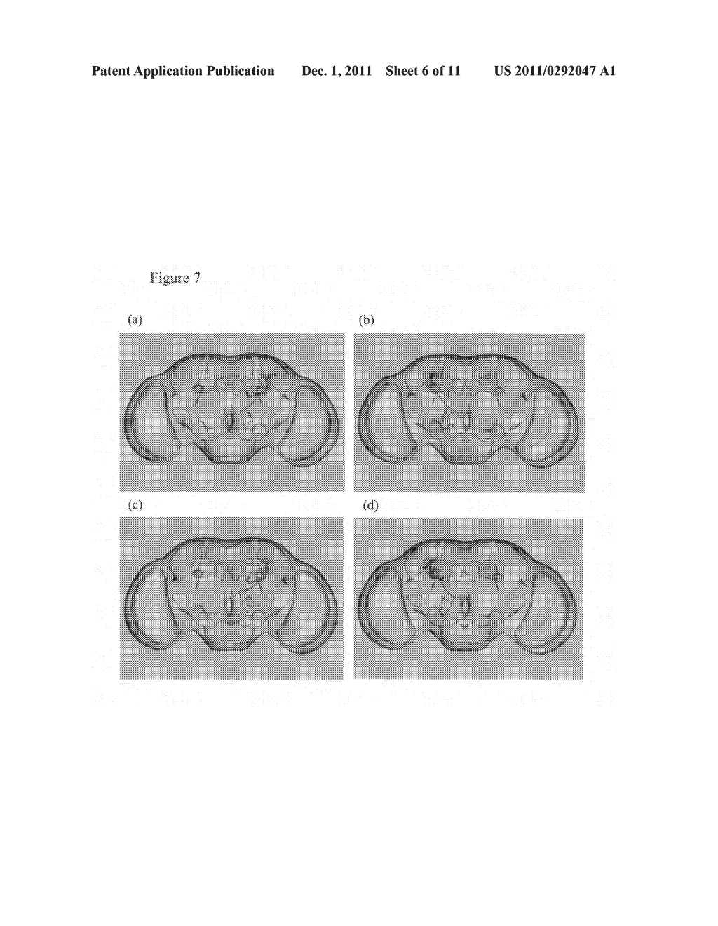 Method of Three-Dimensional Image Data Processing - diagram, schematic, and image 07