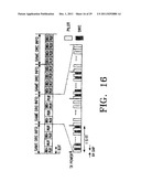 APPARATUS AND METHOD FOR GATING TRANSMISSION OF A DATA RATE CONTROL     CHANNEL IN AN HDR MOBILE COMMUNICATION SYSTEM diagram and image