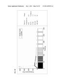 DYNAMIC FLOW IMAGING PHANTOM AND MODEL THEREFOR diagram and image