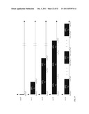 DYNAMIC FLOW IMAGING PHANTOM AND MODEL THEREFOR diagram and image