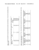 DYNAMIC FLOW IMAGING PHANTOM AND MODEL THEREFOR diagram and image