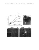 COMPOSITIONS AND METHODS OF USE OF TARGETING PEPTIDES AGAINST PLACENTA AND     ADIPOSE TISSUES diagram and image