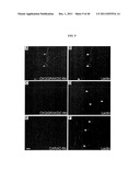 COMPOSITIONS AND METHODS OF USE OF TARGETING PEPTIDES AGAINST PLACENTA AND     ADIPOSE TISSUES diagram and image