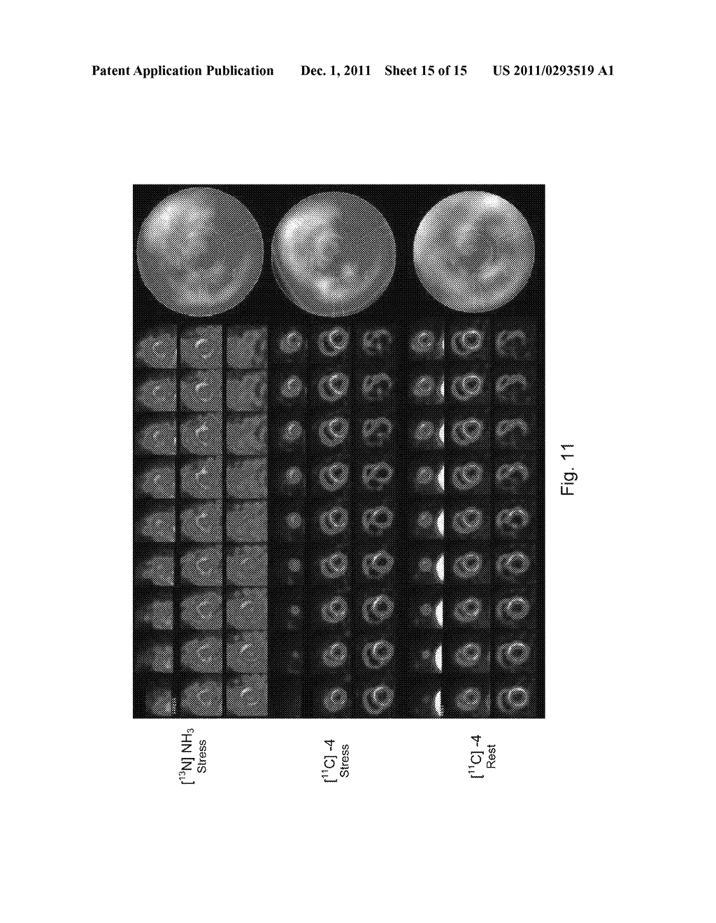 MOLECULAR IMAGING AGENTS - diagram, schematic, and image 16