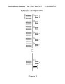  FORMULATIONS WITH ANTI-NEOPLASTIC ACTIVITY diagram and image