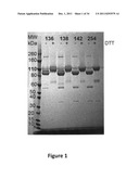 Bi-specific fusion proteins diagram and image