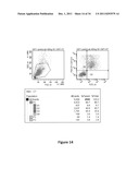 Bi-specific fusion proteins diagram and image