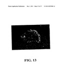 GYNOGENETIC OR ANDROGENETIC PRODUCTION OF PLURIPOTENT CELLS AND CELL     LINES, AND USE THEREOF TO PRODUCE DIFFERENTIATED CELLS AND TISSUES diagram and image