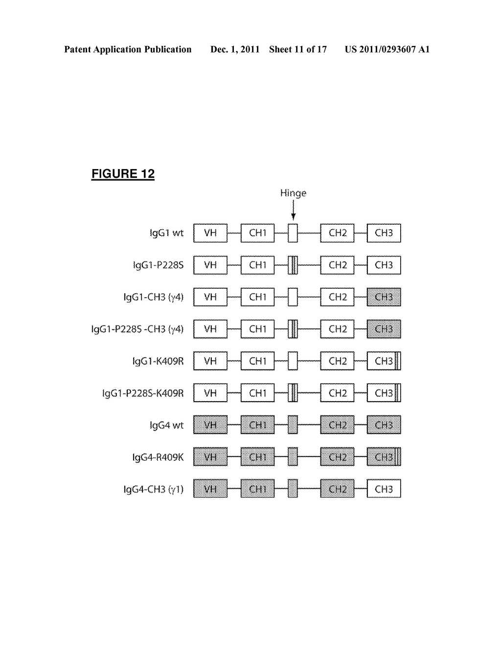 Antibody Variants Having Modifications In The Constant Region - diagram, schematic, and image 12