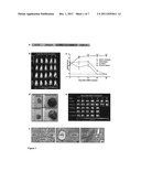 Prevention of immunological rejection of transplanted stem cells by     leukocyte costimulatory molecule blockade diagram and image