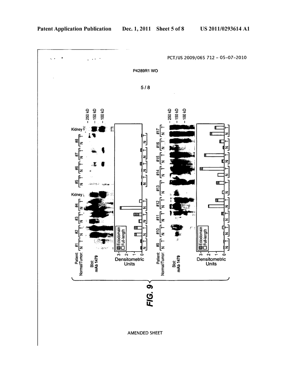 ISOFORM SPECIFIC ANTI-HER4 ANTIBODIES - diagram, schematic, and image 06