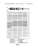 ANTI-HUMAN CLCP1 ANTIBODY AND USE THEREOF diagram and image