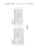 ANTI-HUMAN CLCP1 ANTIBODY AND USE THEREOF diagram and image