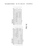 ANTI-HUMAN CLCP1 ANTIBODY AND USE THEREOF diagram and image