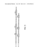 ANTI-HUMAN CLCP1 ANTIBODY AND USE THEREOF diagram and image