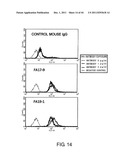 ANTI-HUMAN CLCP1 ANTIBODY AND USE THEREOF diagram and image