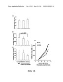 ANTI-HUMAN CLCP1 ANTIBODY AND USE THEREOF diagram and image