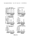 ANTI-HUMAN CLCP1 ANTIBODY AND USE THEREOF diagram and image