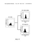 ANTI-HUMAN CLCP1 ANTIBODY AND USE THEREOF diagram and image