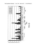 ANTI-HUMAN CLCP1 ANTIBODY AND USE THEREOF diagram and image