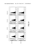 ANTI-HUMAN CLCP1 ANTIBODY AND USE THEREOF diagram and image