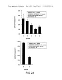 ANTI-HUMAN CLCP1 ANTIBODY AND USE THEREOF diagram and image