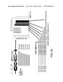 ANTI-HUMAN CLCP1 ANTIBODY AND USE THEREOF diagram and image