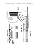 ANTI-HUMAN CLCP1 ANTIBODY AND USE THEREOF diagram and image