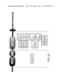 ANTI-HUMAN CLCP1 ANTIBODY AND USE THEREOF diagram and image