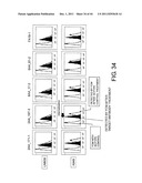 ANTI-HUMAN CLCP1 ANTIBODY AND USE THEREOF diagram and image