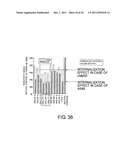 ANTI-HUMAN CLCP1 ANTIBODY AND USE THEREOF diagram and image