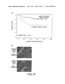 ANTI-HUMAN CLCP1 ANTIBODY AND USE THEREOF diagram and image