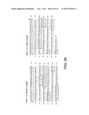 ANTI-HUMAN CLCP1 ANTIBODY AND USE THEREOF diagram and image