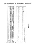 ANTI-HUMAN CLCP1 ANTIBODY AND USE THEREOF diagram and image